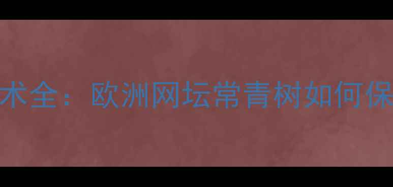 图片 马琳网球技术全：欧洲网坛常青树如何保持巅峰状态
