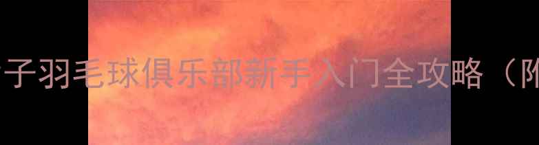 图片 🌟30天从零开始！女子羽毛球俱乐部新手入门全攻略（附减肥塑形计划）🌟2