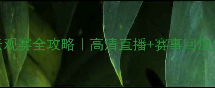图片 🌟体育赛事云观赛全攻略｜高清直播+赛事回放保姆级教程✅