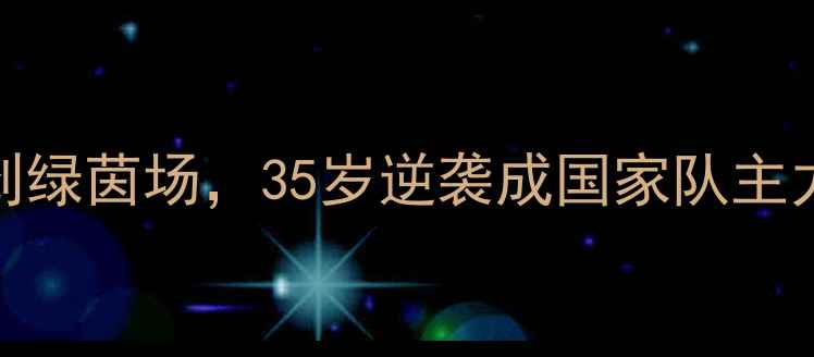 图片 🌟冰岛牙医跨界足球：从椅子上到绿茵场，35岁逆袭成国家队主力！他的牙科思维竟成训练秘籍？