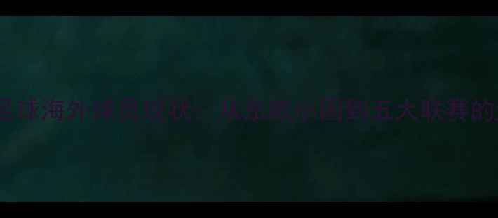 图片 🌟斯洛伐克足球海外球员现状：从东欧小国到五大联赛的逆袭之路🌟2