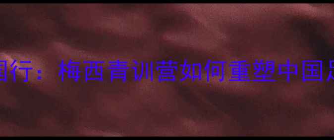 图片 🌟梅西中国行：梅西青训营如何重塑中国足球未来🌟