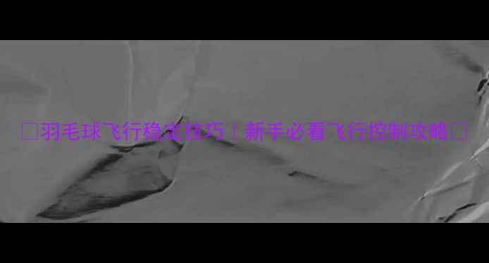 图片 🌟羽毛球飞行稳定技巧｜新手必看飞行控制攻略🌟