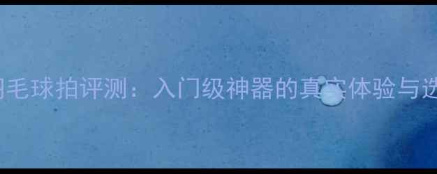 图片 🎾NS6000羽毛球拍评测：入门级神器的真实体验与选购指南🔥2