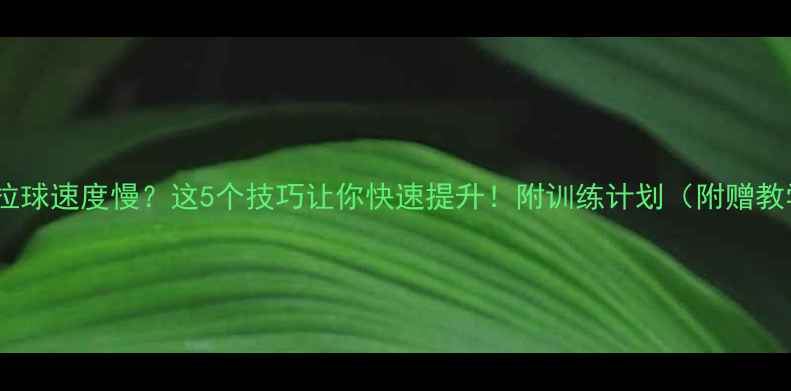 图片 🎾乒乓球拉球速度慢？这5个技巧让你快速提升！附训练计划（附赠教学视频）1