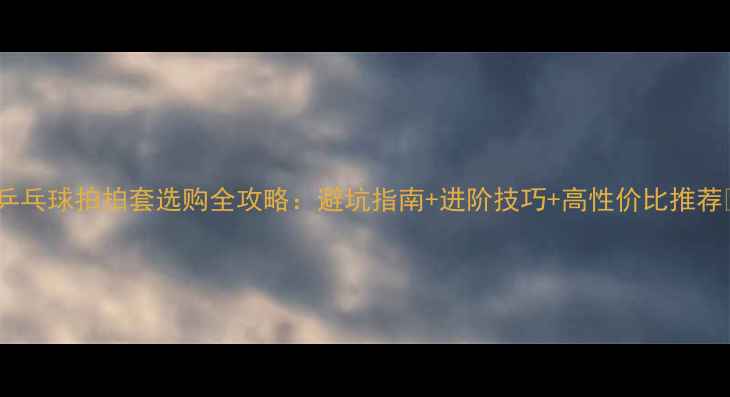 图片 🎾乒乓球拍拍套选购全攻略：避坑指南+进阶技巧+高性价比推荐🎾1