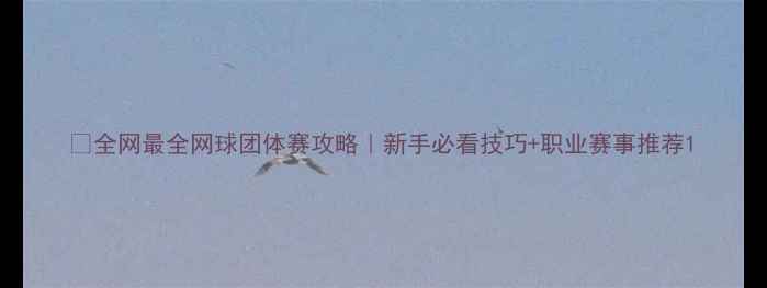 图片 🎾全网最全网球团体赛攻略｜新手必看技巧+职业赛事推荐1