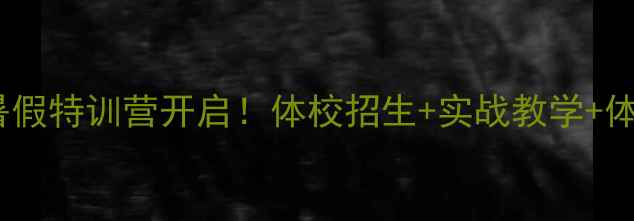 图片 🎾夏冰东乒乓球暑假特训营开启！体校招生+实战教学+体能提升全攻略🔥1