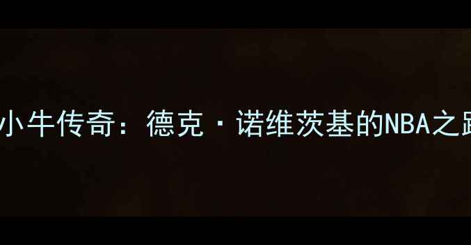 图片 🏀14年小牛传奇：德克·诺维茨基的NBA之路全🏆2