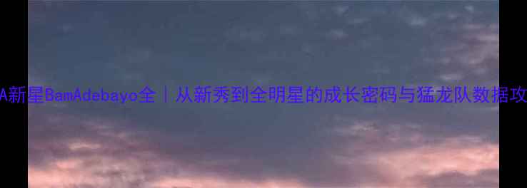 图片 🏀NBA新星BamAdebayo全｜从新秀到全明星的成长密码与猛龙队数据攻略🔥