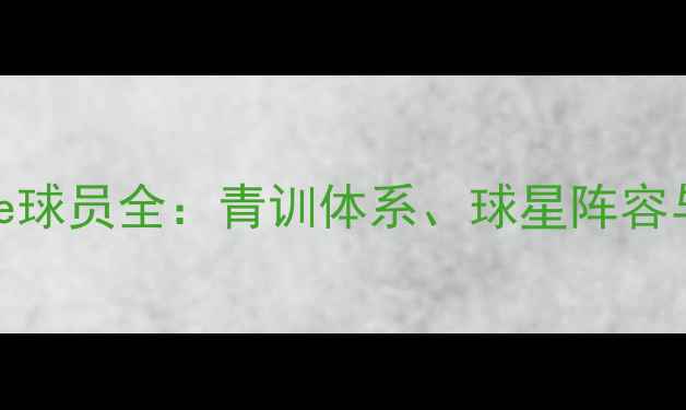 图片 🏆Fenerbahçe球员全：青训体系、球星阵容与未来展望🌟2