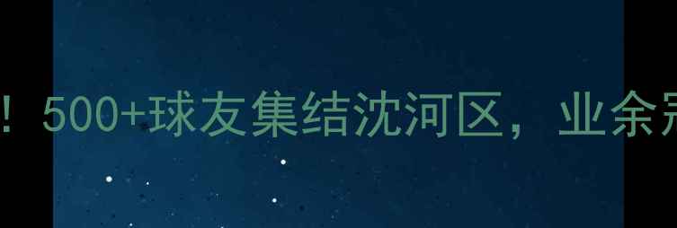 图片 🏆沈阳台球热血开赛！500+球友集结沈河区，业余冠军争夺战全攻略🎱1