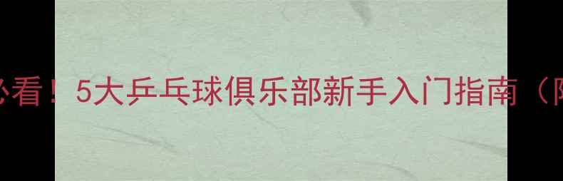 图片 🏓上海周末团建必看！5大乒乓球俱乐部新手入门指南（附地址+优惠）🏓1