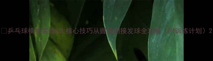 图片 🏓乒乓球横拍实战5大核心技巧从握拍到接发球全攻略（附训练计划）2