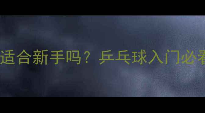 图片 🏓弹性大胶皮真的适合新手吗？乒乓球入门必看选购避坑指南！2