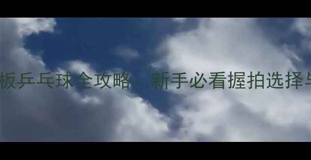 图片 🏓直板VS横板乒乓球全攻略：新手必看握拍选择与训练指南2