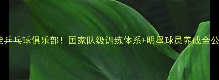 图片 🏓鲁能乒乓球俱乐部！国家队级训练体系+明星球员养成全公开🔥2