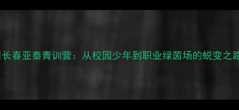 图片 🏟️长春亚泰青训营：从校园少年到职业绿茵场的蜕变之路🌱1