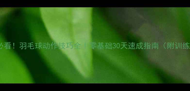 图片 🏸新手必看！羽毛球动作技巧全｜零基础30天速成指南（附训练计划）2