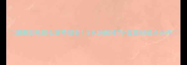 图片 🏸湖南羽毛球女双夺冠全！5大训练技巧+实战经验大公开🏆