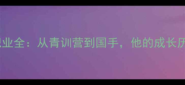 图片 🏸羽毛球吴晓阳职业全：从青训营到国手，他的成长历程与核心技术🏸1