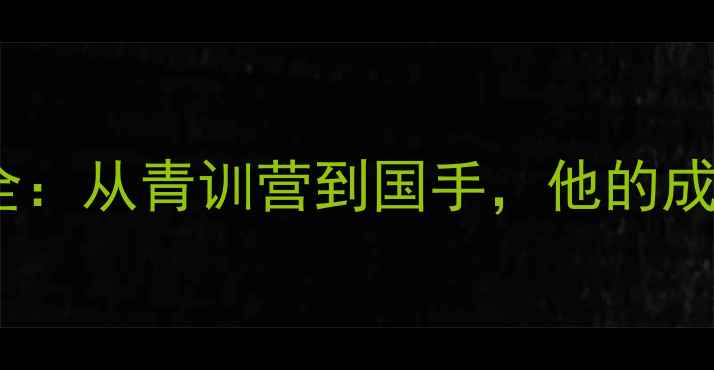 图片 🏸羽毛球吴晓阳职业全：从青训营到国手，他的成长历程与核心技术🏸2