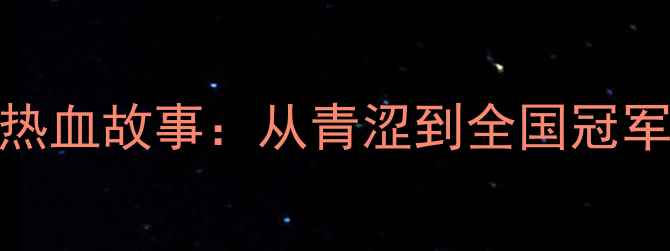 图片 🏸羽毛球夺冠秘籍队热血故事：从青涩到全国冠军的365天逆袭之路🏆1