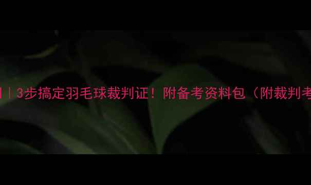 图片 🏸零基础入门｜3步搞定羽毛球裁判证！附备考资料包（附裁判考试全攻略）2