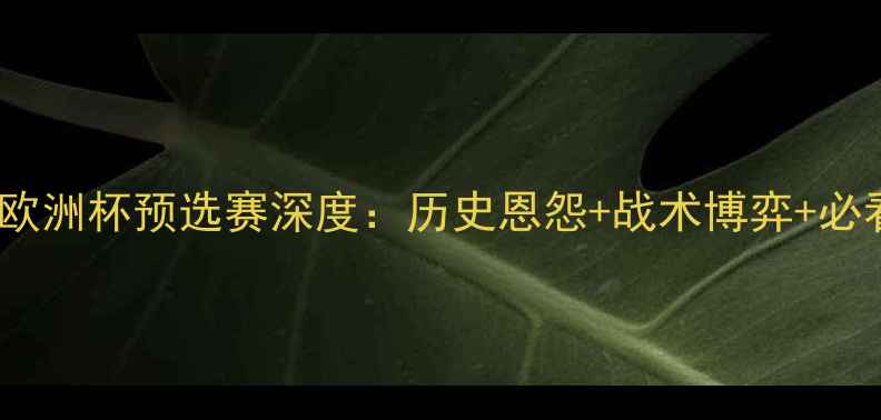 图片 💥卢森堡vs匈牙利欧洲杯预选赛深度：历史恩怨+战术博弈+必看看点全公开！⚽1