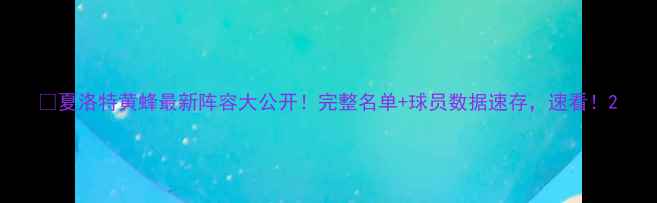 图片 💥夏洛特黄蜂最新阵容大公开！完整名单+球员数据速存，速看！2