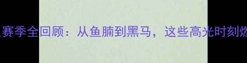 图片 🔥CBA丹东凤城球员赛季全回顾：从鱼腩到黑马，这些高光时刻燃爆赛场！赛季深度