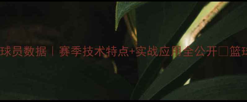 图片 🔥DREXLER球员数据｜赛季技术特点+实战应用全公开✨篮球迷必看！