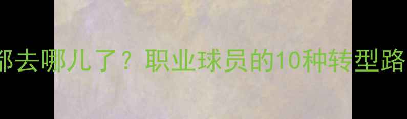 图片 🔥NBA球员退役后都去哪儿了？职业球员的10种转型路径+职业规划指南1