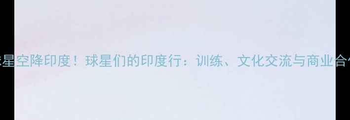 图片 🔥NBA球星空降印度！球星们的印度行：训练、文化交流与商业合作全🔥1