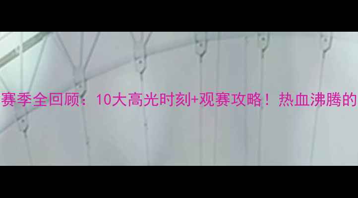 图片 🔥WCBA广东女篮赛季全回顾：10大高光时刻+观赛攻略！热血沸腾的篮球盛宴来了！