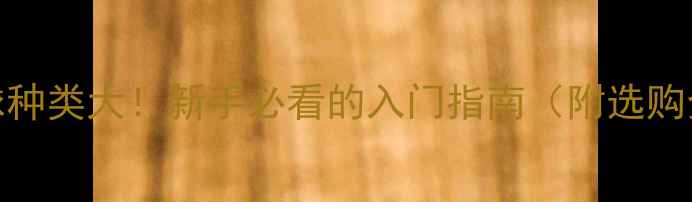 图片 🔥乒乓球种类大！新手必看的入门指南（附选购全攻略）