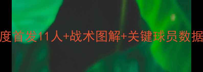 图片 🔥华盛顿特区队赛季深度首发11人+战术图解+关键球员数据！美职联黑马养成记🏆