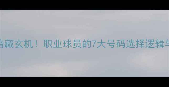 图片 🔥后卫号码暗藏玄机！职业球员的7大号码选择逻辑与实战案例🔥