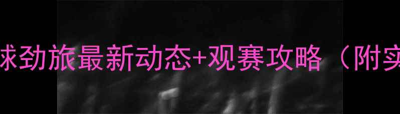 图片 🔥埃因霍温队比赛：荷兰足球劲旅最新动态+观赛攻略（附实时战报+球迷互动话题）🔥2