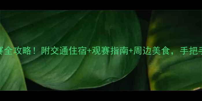 图片 🔥安顺市足球比赛观赛全攻略！附交通住宿+观赛指南+周边美食，手把手教你玩转绿茵盛宴🔥