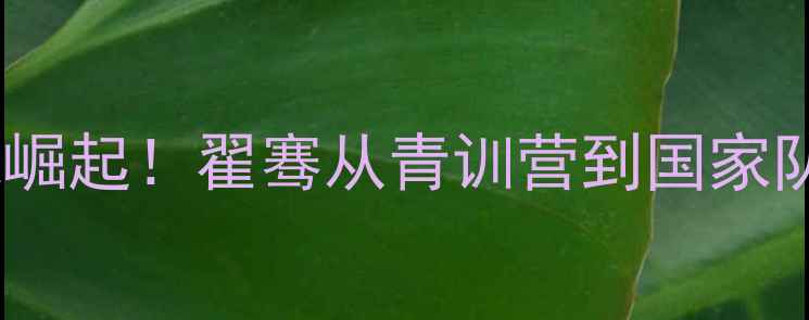 图片 🔥山西羽毛球新锐崛起！翟骞从青训营到国家队的逆袭全记录🔥1