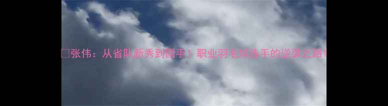 图片 🔥张伟：从省队新秀到国手！职业羽毛球选手的逆袭之路1