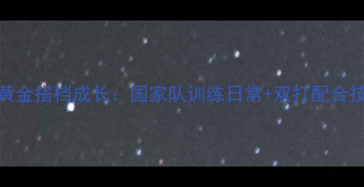 图片 🔥张楠双打黄金搭档成长：国家队训练日常+双打配合技巧全公开🔥