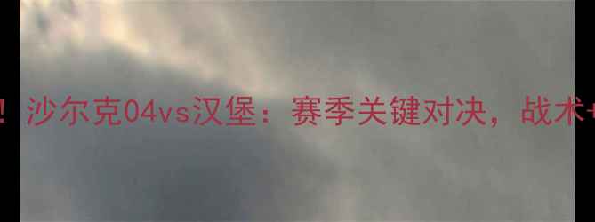 图片 🔥德甲焦点战！沙尔克04vs汉堡：赛季关键对决，战术+历史交锋全🔥