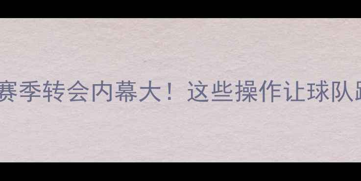 图片 🔥拉齐奥赛季转会内幕大！这些操作让球队跌落神坛2