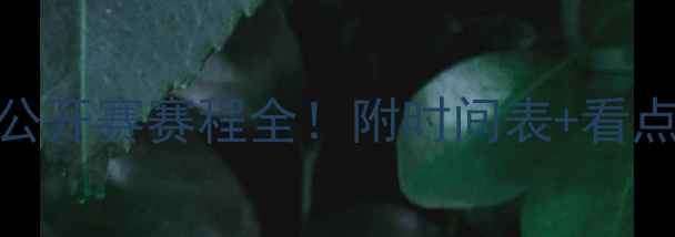 图片 🔥日本羽毛球公开赛赛程全！附时间表+看点+观赛指南✨2