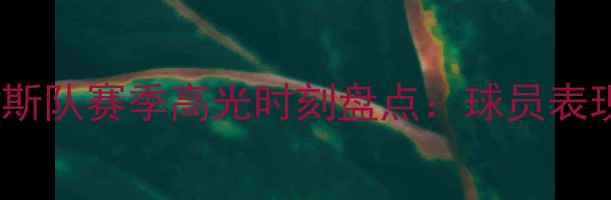 图片 🔥法甲黑马！法国尼斯队赛季高光时刻盘点：球员表现+战术+未来展望🔥1