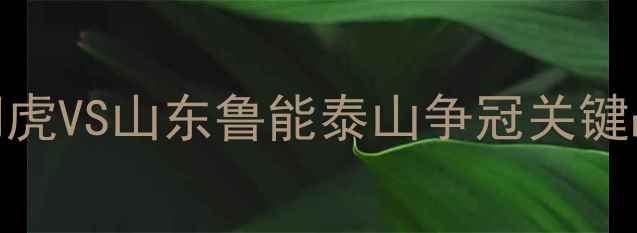 图片 🔥津鲁大战！天津津门虎VS山东鲁能泰山争冠关键战！中超焦点对决全🔥