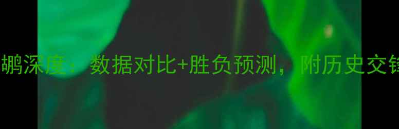 图片 🔥火箭vs鹈鹕深度：数据对比+胜负预测，附历史交锋关键点！1