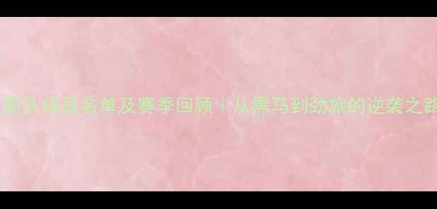 图片 🔥火箭队球员名单及赛季回顾｜从黑马到劲旅的逆袭之路🏆1